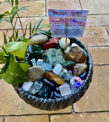מזרקה כד קרמיקה מעוטר שחור אבן אילת מבעבעת מים צמחים אמיתיים